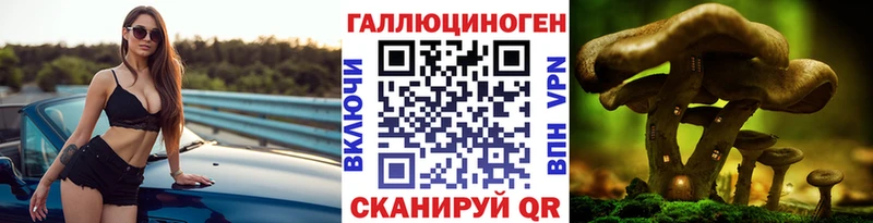 где продают   omg   Галлюциногенные грибы GOLDEN TEACHER  Старая Купавна 